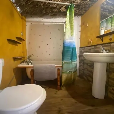 Apartament Oasis En El Barrio La Laguna (Tenerife)